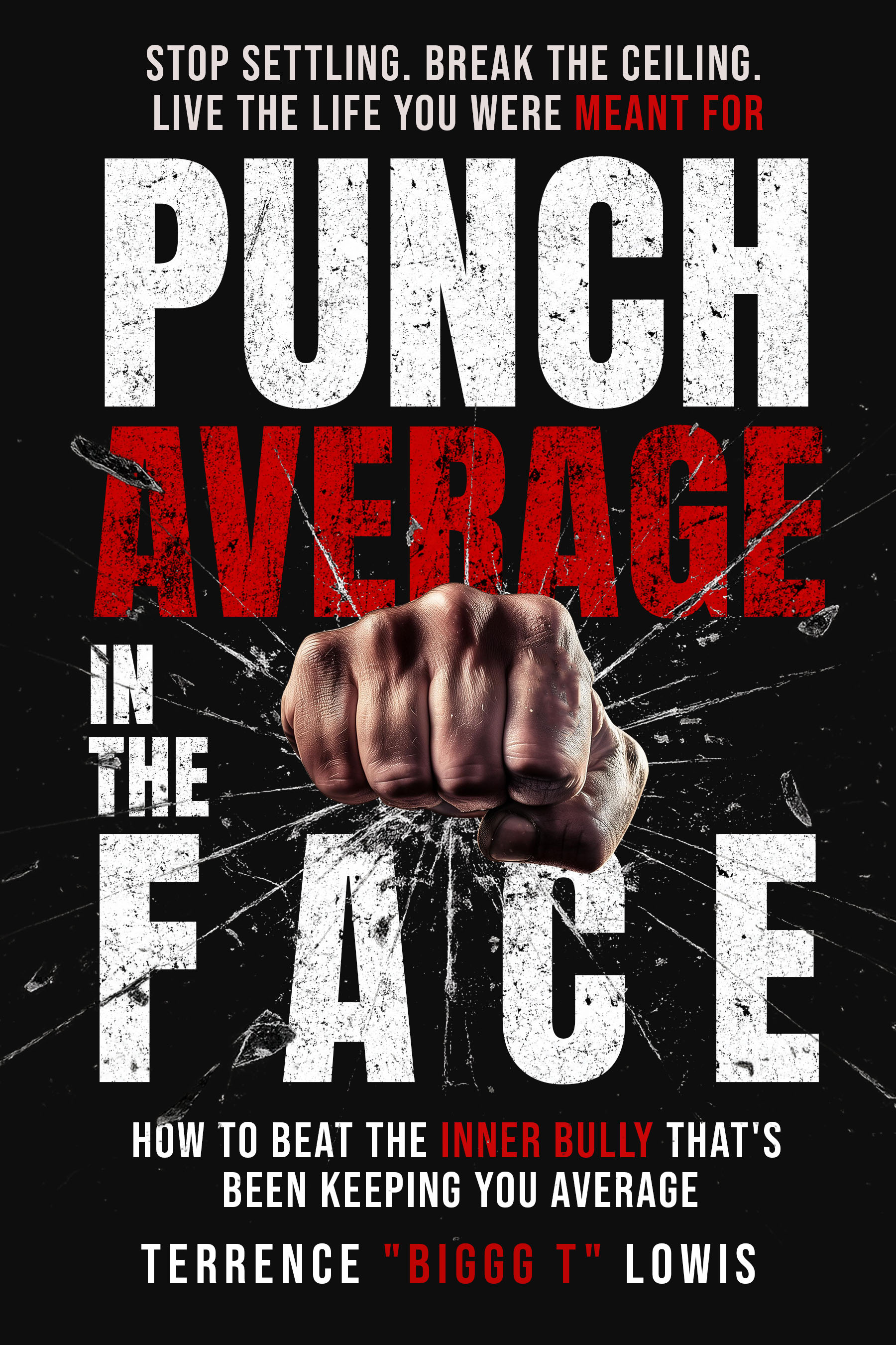 Punch Average in the Face book cover by Terrence Biggg T Lowis